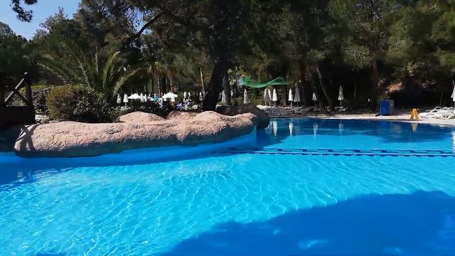 Большой бассейн смотреть онлайн