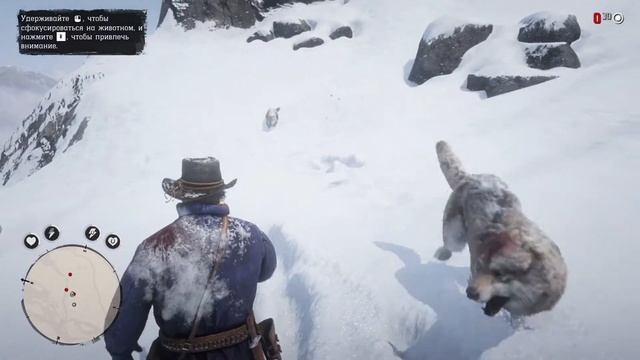 НОВОЕ ПРИКЛЮЧЕНИЕ ДИКОГО ЗАПАДА Red Dead Redemtion 2 #1 смотреть онлайн