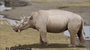 топ 13 доисторических животных #2