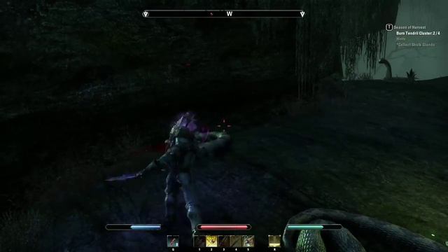 Elder Scrolls Online - Public Dungeon Bad Man's Hallows смотреть онлайн