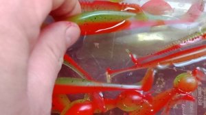 Мягкие приманки на судака. Цвет "Арбуз (Хамелеон)