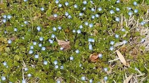 Город Лариса. Фессалия. Греция. Greece. Λάρισα. Обзор города.