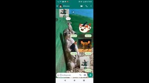 AXRecorder_14112023_151845.mp4