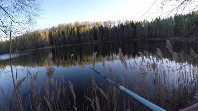 Ловля плотвы и окунька на удочку с боковым кивком смотреть онлайн