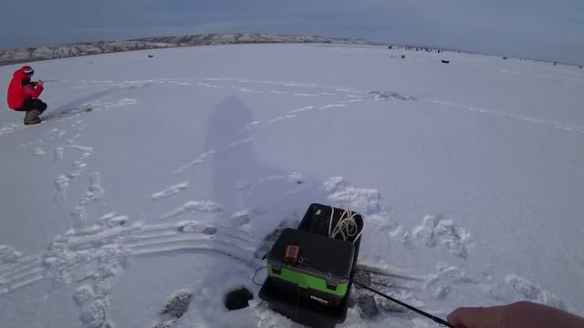 ОТОРВАЛИСЬ ПО СУДАКУ! Рыбалка на Дону! Рыбалка на судака с эхолотом практик! Судак на РАТТЛИНЫ ВИБЫ