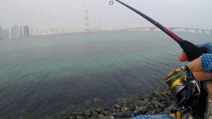 Трофейная Рыбалка в Арабских Эмиратах с Берега