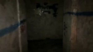 САМОЕ ЖУТКОЕ ВИДЕО ИЗ ПРИПЯТИ // Последние кадры с телефона // МУТАНТЫ Чернобыля