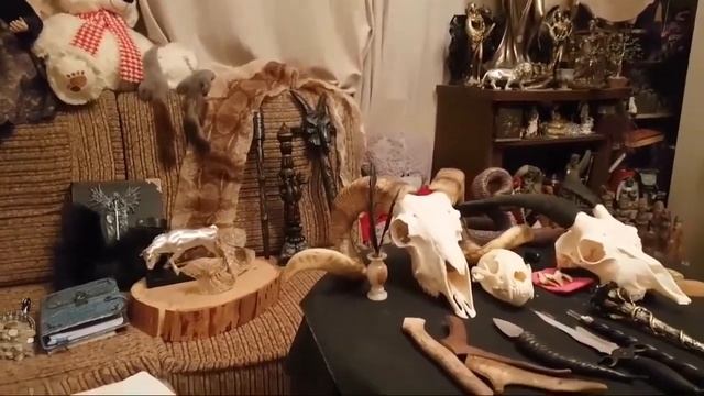 ЖИВЫЕ АТРИБУТЫ В МАГИИ   ВЕДЬМИНА ИЗБА