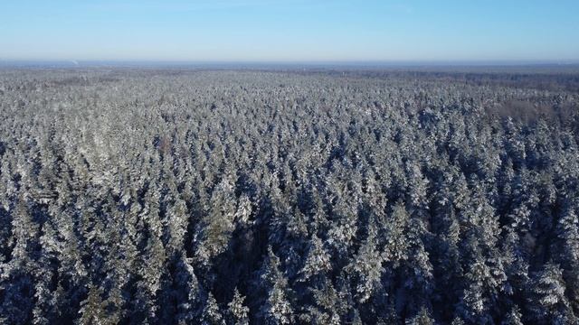 Пролёт.