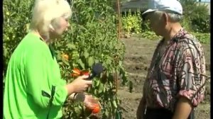 Агрошкола "Помидорное дерево"