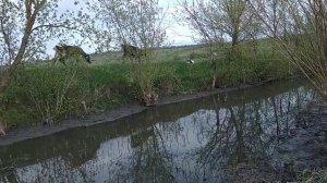 Облагоражываем речку часть 2.