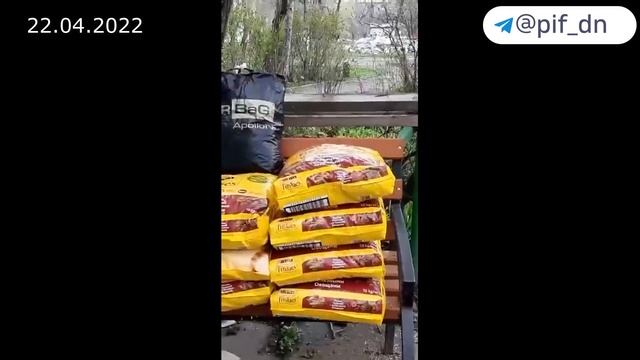 Помощь животным Мариуполя! Виктория и ее 30 подопечных-инвалидов
