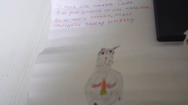 Как перевезти новорожденных хомячков? Распаковала посылки. смотреть онлайн