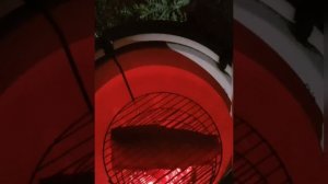 Новогодний "Запеченный сазан" в тандыре! Экспресс ужин, по-деревенски, на все случаи жизни!