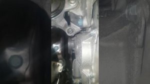 сверчок под капотом в мурано z52