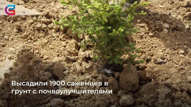 Ректор СибГИУ Алексей Юрьев и гендиректор «Распадской» дали старт инновационному проекту