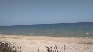 Поездка на море на лошадях и карете