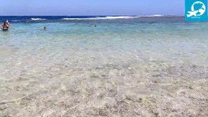 Обзор отеля Concorde Moreen Beach Resort 5* Marsa Alam (Конкорд Морен Марса-Алам)