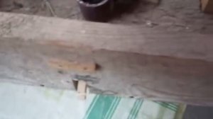 КРЫСОЛОВКА-МЫШЕЛОВКА