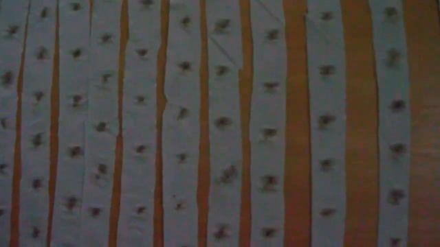 Как я сажала морковь в апреле ленточным методом наклейки семян на туалетную бумагу смотреть онлайн