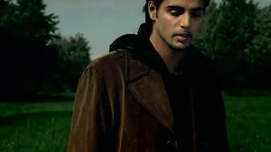 Корни - Плакала береза