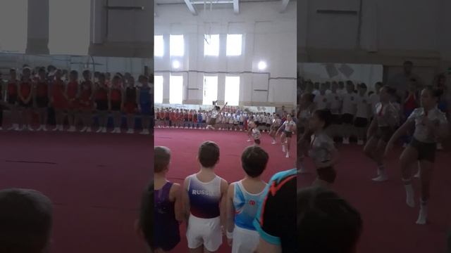 Первенство по спортивной гимнастике смотреть онлайн