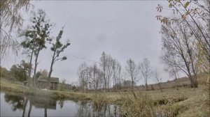 Как спилить дерево бензопилой. Как спилить дерево в нужном направлении. Правильный валочный запил.
