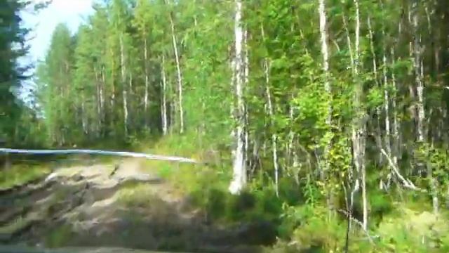 …лесными дорогами Карелии. Осударева дорога. Карелия – Архангельская область.