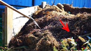 Компост своими руками, приготовление из травы.