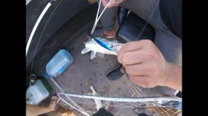 Рыбалка в Астрахани на тролинг