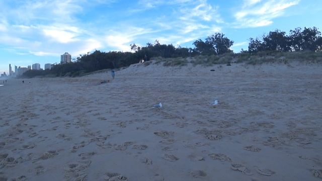 Голд Кост - Прогулка по пляжу | Чем мы отличаемся от австралийцев? смотреть онлайн