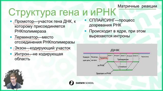Тема №14: Особенности матричных реакций смотреть онлайн