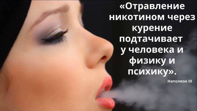 здоровый образ жизни цитаты смотреть онлайн