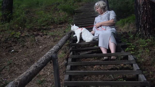 Летний турнир Королева Фелинологии