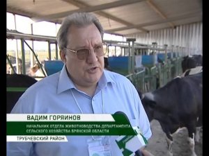 Доярочки в Трубчевске  04 08 14