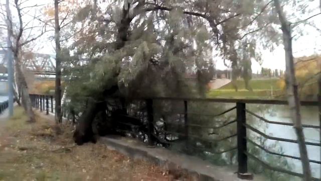 Москва 955 Курьяновская набережная, Сабуровские ж/д мосты Курского направления осень день