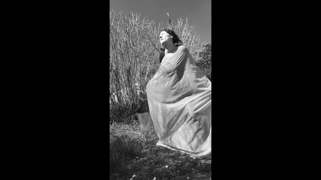 OVER THE BORDER by Barbara Hanel-Stocker смотреть онлайн