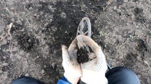 Коп в Тульской области. Металлоискатель Minelab Equinox 600 прошивка 3.1.3