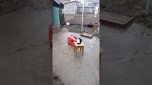 Бензогенератор Биг 2000
