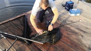 рыбалка река Сосыка