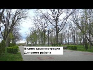 О планах развития Комсомольского парка станицы Динской