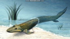 Tiktaalik Sounds
