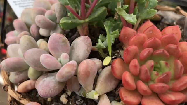 Shop With Me At Lowe's Part 1 March 2019 смотреть онлайн