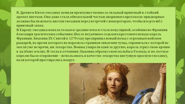 Декоративно цветочные культуры  Весенние работы в цветоводстве 1