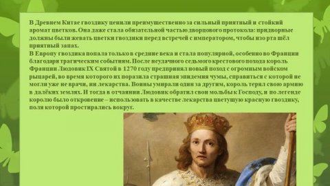 Декоративно цветочные культуры Весенние работы в цветоводстве 1