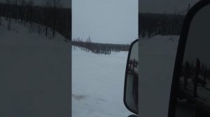 Дорога на ванкор