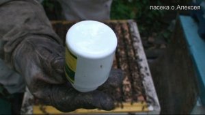 Лечу пчёл  от клеща муравьиной кислотой