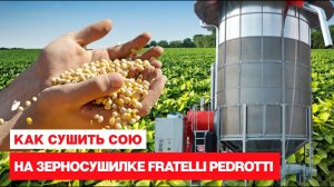 Как сушить сою на мобильных зерносушилках Fratelli Pedrotti.