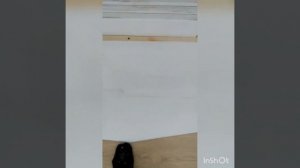 Шкаф-купе из деревянных щитов своими руками.