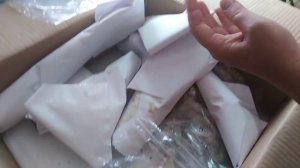 Комнатные цветы . Ура ! Моя первая посылка с комнатными растениями !